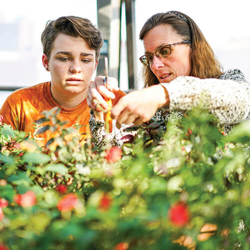 Faculty member and student investigating plants